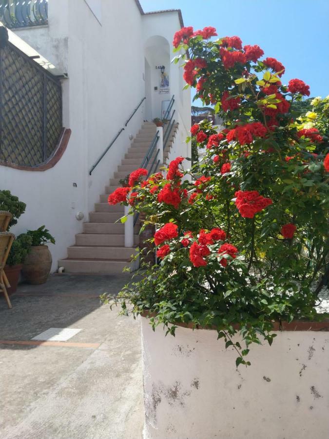 La Marocella Villa Capri Exterior photo